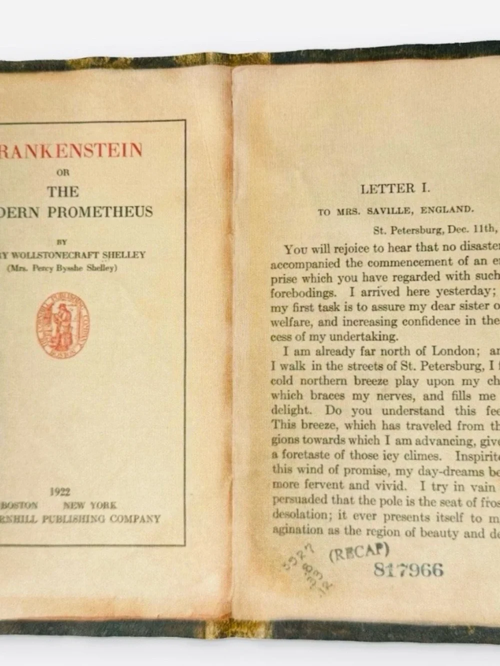 Frankenstein Book Microfiber Eyeglass Cleaning Cloth Gold Lightning Design